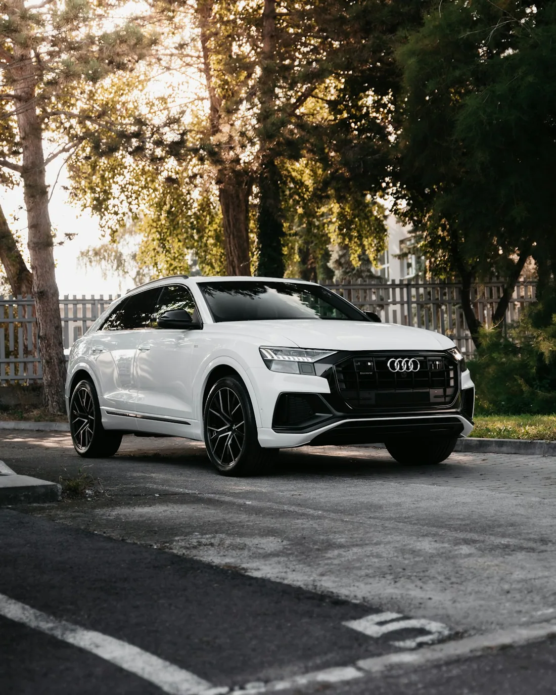 Audi Q8 — fotografia 1 din 1